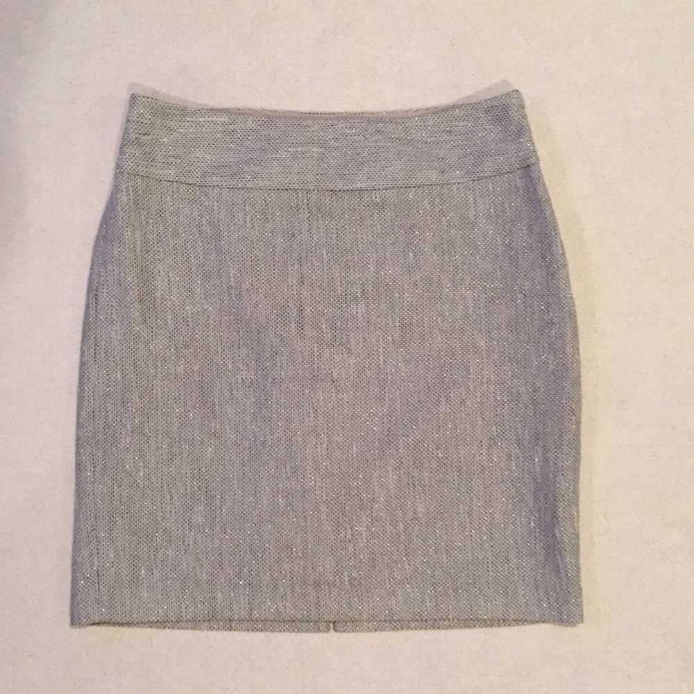 The Limited Metallic Mini Skirt 2